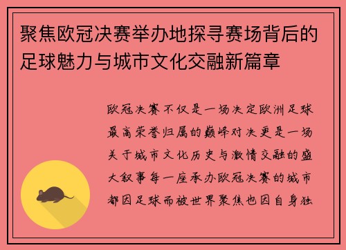 聚焦欧冠决赛举办地探寻赛场背后的足球魅力与城市文化交融新篇章